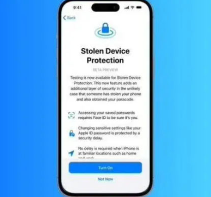 兴宁苹果授权维修店分享被盗设备保护功能开启方法 