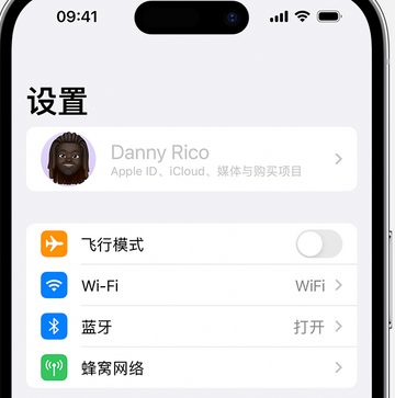 兴宁appleID维修服务iPhone设置中Apple ID显示为灰色无法使用 