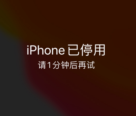 兴宁苹果手机维修分享:iPhone 显示“不可用”或“已停用”怎么办？还能保留数据吗？ 