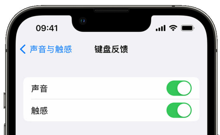 兴宁苹果手机维修分享iPhone 14触感键盘使用方法 