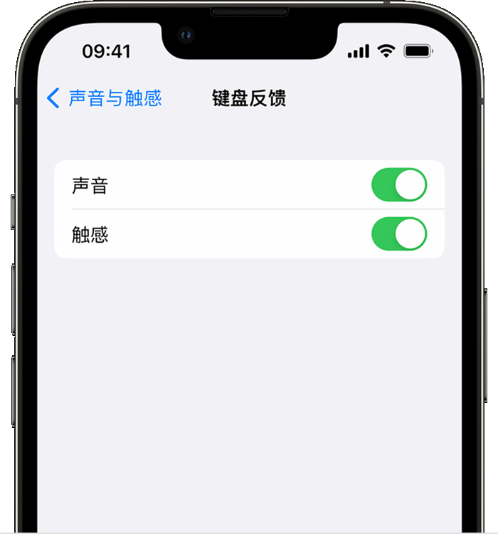 兴宁苹果14维修店分享如何在 iPhone 14 机型中使用触感键盘 