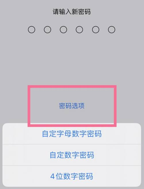 兴宁苹果14维修分享iPhone 14plus设置密码的方法 