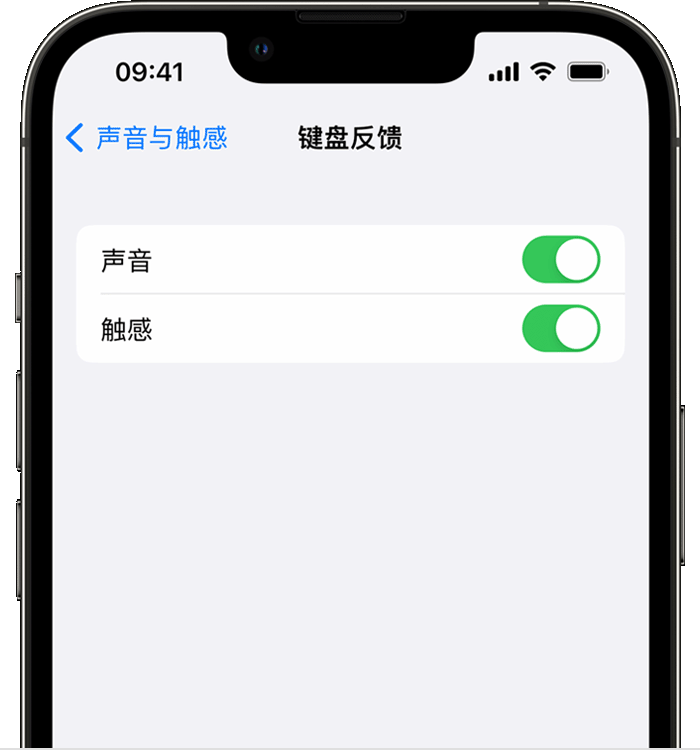 兴宁苹果14维修分享iPhone 14 系列机型如何开启键盘声音或触感反馈 