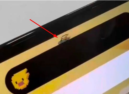 兴宁苹果14维修分享iPhone 14 Pro Max灵动岛怎么养宠物 