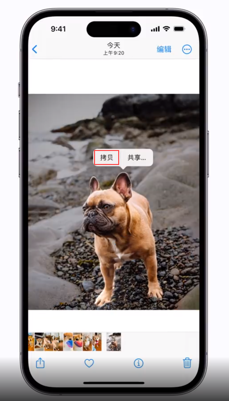 兴宁苹果手机维修分享 iOS 16 自带一键抠图功能 