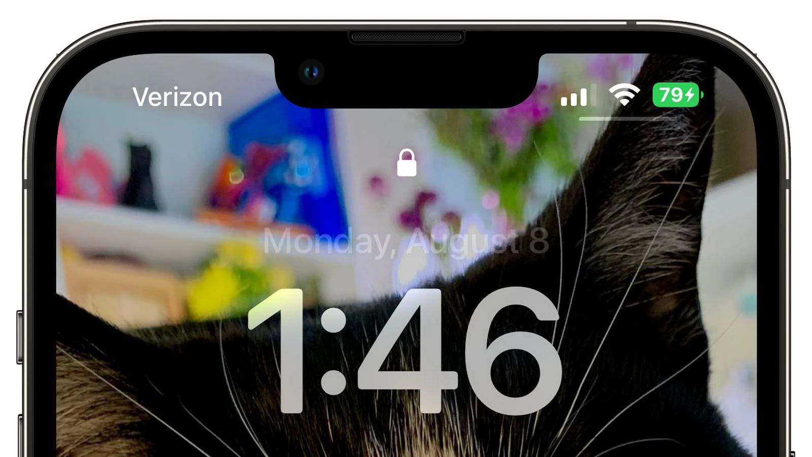 兴宁苹果手机维修分享iOS 16 beta 5 支持状态栏显示电池百分比，如何开启？支持哪些机型 