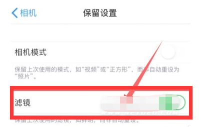 兴宁苹果13维修分享iPhone13拍照有绿点是怎么回事 