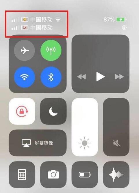 兴宁苹果手机维修分享为 iPhone 12 双卡设置标签 