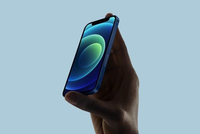 兴宁苹果手机维修分享iPhone 12 mini辐射很大吗 